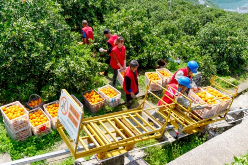 “十四五”国家电网发展成效④：供电服务优化提升