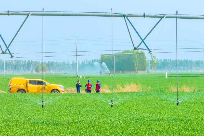 “十四五”国家电网发展成效④：供电服务优化提升